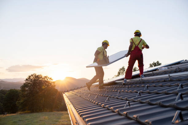 Best Roof Insulation Installation  in Chandler, TX