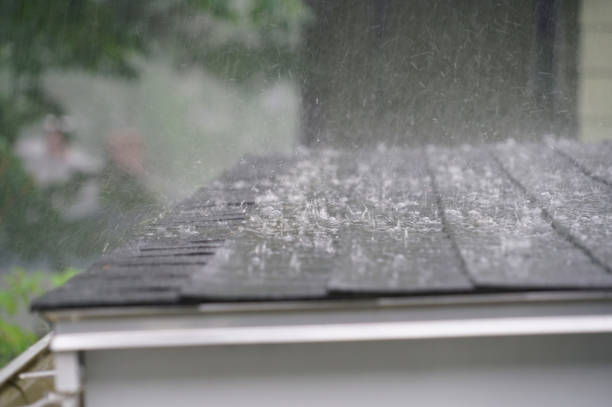 Best Gutter Installation and Repair  in Chandler, TX