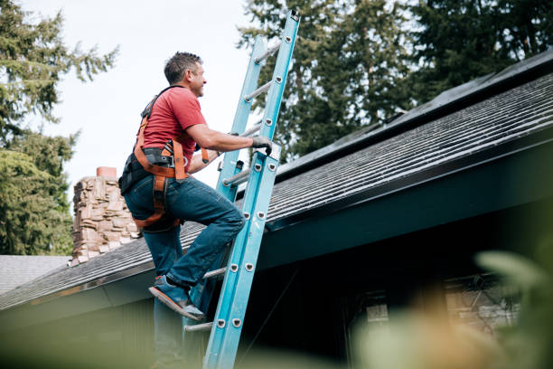Steel Roofing in Chandler, TX